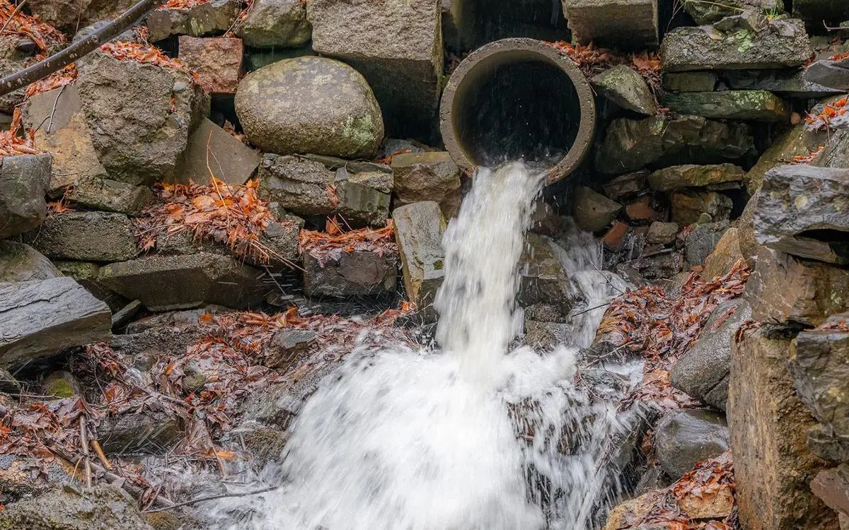 A perched culvert pipe spilling its stream onto the rocks below: a drop fish cannot climb.